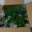 HyeFlora Artificial Flowers for Outdoor Indoor Garden Home Decoration, Faux Flower Daisy with Eucalyptus Leaves Fake Plants Greenery Boxwood Porch Patio, 12 Bundles (Creamy White)