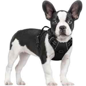 Rabbitgoo Dog Harness No Pull with 2 Leash Clips, Adjustable Soft Padded, Reflective Oxford No Choke Pet Vest with Easy Control Handle for Small Dogs, Black, S