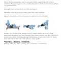 Athletic Blueprint: Strength, Mobility & Speed