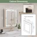 Medicine Cabinet, LED Mirror Cabinet for Bathroom with 3-Color with Mirror Defog, Recessed or Surfaced Wall-Mounted (24X30)