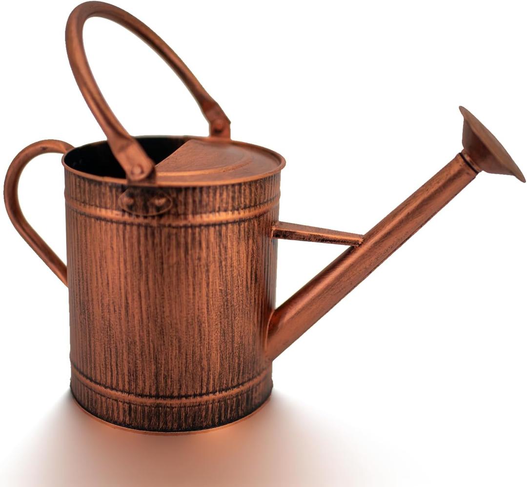 1 Gallon Watering Can, Copper Watering Can, Metal Water Can with Removable Spout, Perfect Plant Water Can for Indoor and Outdoor