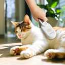 Patented 3-in-1 Cat Spray Brush with Silicone Comb: Shedding, Cleaning & Massage, Pet Steam Grooming Tool, Ideal for indoor Long or Short Haired Cats, Dogs, Rabbits & Pets (Beige)