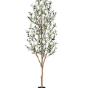Kazeila Artificial Olive Tree 6FT Tall Faux Silk Plant for Home Office Decor Indoor Fake Potted Tree with Wood Branches and Fruits