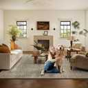 Washable Area Rugs for Living Room: 5x7 Bedroom Area Rug Boho Vintage Rugs Stain Resistant Non Slip Low Pile Soft Lightweight Carpet for Kitchen Dining Room Farmhouse Nursery Kids Room
