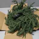 Norfolk Pine Garlands with Light Pre-Lit Christmas Garland,Dense Norfolk Pine Real Touch Garlandfor Table, Mantle, Staires, Wall, Premium Indoor/Outdoor Christmas Decorations (1, 6ft)