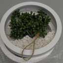 Der Rose 2 Pack Fake Plants Hanging Artificial Succulents Plants in White Pots for Living Room Bathroom Accessories Boho Wall Decor