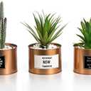 Opps Mini Artificial Plants Plastic Green Grass Cactus with Special Golden Can Pot Design for Home Décor – Set of 3