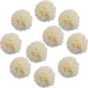 10pcs DIY Decorative Tissue Paper Pom-poms Flowers Ball Perfect for Party Wedding Home Outdoor Decoration (14-inch Diameter, Milky)