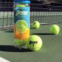 Penn Tribute Tennis Balls (1 Can, 3 Balls, Optic Yellow)