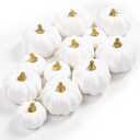 Ywlake 12 Pcs Artificial Pumpkins Fall Decorations, Mini Small Fake Pumpkin for Autumn Harvest Halloween Thanksgiving Faux Pumpkins Home Table Decor (White)