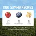 Happy Baby Organics Stage 2 Baby Food Pouches, Gluten Free, Vegan & Healthy Snack, Clearly Crafted Oat & Fruit Puree, Apples, Blueberries & Oats, 4 Ounces (Pack of 16) (EXP 04/30/26)