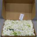 100 Pcs Faux White Hydrangea Artificial Flowers Bulk, Fake Silk Hydrangea Flowers Heads with Stems for Wedding Decorations Garden Party Baby Shower Porch Home Decor Table Centerpieces