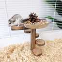 Hamster Food Bowl with Climbing Toys Ladder Stairs, Rat Toys for Pet Rats, Hamster Accessories for Cage, Pet Feeder Food Dish