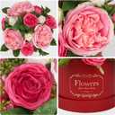 Hollyone Red Pink Artificial Peonies Roses in Vase Round Gift Boxes with Fake Flowers Arrangements Faux Flowers Floral in Box Vase for Her Mothers' Day Valentine's Day Christmas Birthday Gift