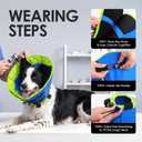 AOFITEE Dog Cone Collar, Adjustable Dog Cones Alternative for Large Dogs After Surgery with Buckle, Pet Cone for Dogs to Stop Licking, Neuter Elizabethan Cones for Wound Healing(Bluegreen,X-Large)