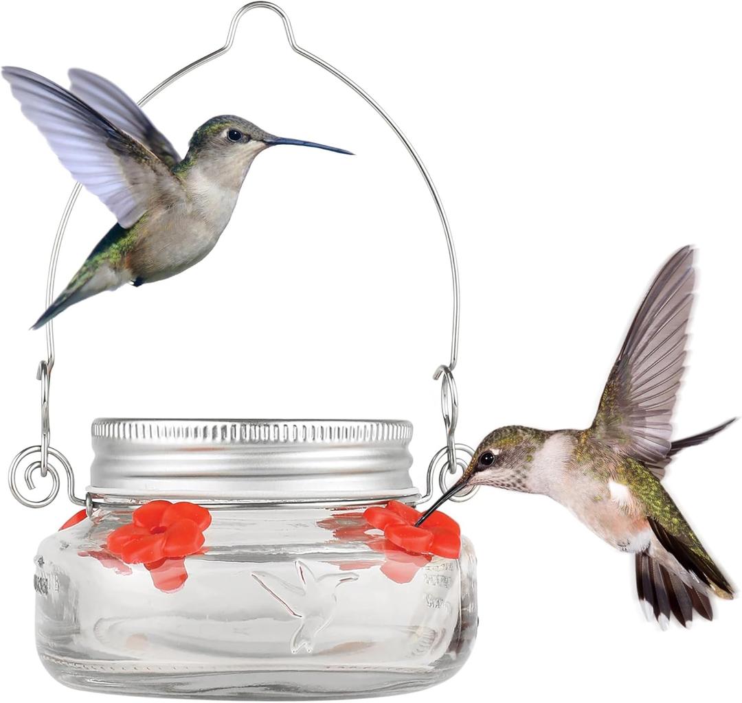 Nature's Way Bird Products MJF1 Nature's Way Mason Jar Hummingbird Dish Feeder, Clear (4" dia.)