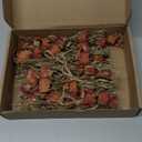 PATIKIL Mini Dried Flower Bouquet, 10 Pcs Rose Natural Wildflower with Stem Decor Baby's Breath Boho Floral Plant Flower for Crafts DIY Photo Props Gift Wedding Decor, Rose Red