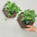 QUOAOT Hexagonal Wooden Wall Planter, Self Watering Living Vertical Planter Indoor, Wooden Frame Planter Wall Decoration Home Office, 2pc Walnut