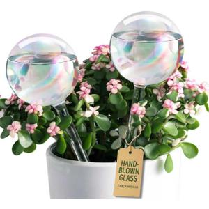 Soilagua Extra-Thick Clear Glass Plant Watering Globes, Rainbow Gradient Self Watering Globes, Automatic Plant Waterer, Self Watering Planter Insert Spikes Devices for Everyday or Vacation Use, 2-Pack