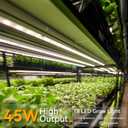 4FT Grow Lights for Indoor Plants,T8 5000K Full Spectrum Plant Light,540W(12 x 45W),LED Grow Light Strips with Timer, Aluminum Reflector,Linkable,Plant Growing Lamp Fixture for Greenhouse Indoor 12pcs
