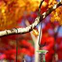 6 Pack 12 inch Extra Large S Hooks Black Heavy Duty Long S Hooks for Hanging Plant Extension Hooks for Kitchenware,Utensils,Pergola,Closet,Flower Basket,Garden,Patio,Indoor Outdoor Uses