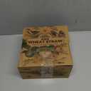 Grow Forward Wheat Straw Kids Plates and Bowls Sets - 8-Piece Unbreakable Dishwasher & Microwave Safe Plastic Plates for Kids - Reusable Non Toxic BPA-Free Dinnerware for Children - Sahara