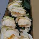 6 Pcs Artificial Peonies Stems Flowers 32", Real Look Large Faux Silk Peony Bouquet 42 Heads Total for Vase Filler, Farmhouse & Rustic Home Decor, Realistic Wedding Centerpieces - Beige