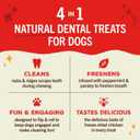 2 x Stella & Chewy's Dental Delights with Freeze-Dried Chicken - Medium Dental Treats for Dogs, 5.5 Ounce Bag (EXP 11/07/25)
