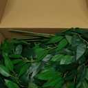 VOELIGT 9PCS Italian Ruscus Greenery 54cm Artificial Greenery Stems Leaf Greenery Garland for Wedding Arch Flowers Centerpieces Balloon Arch Home Decor