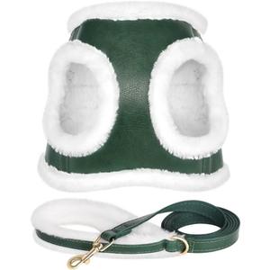 Beirui Leather Small Plush Padded Puppy Harness and Leash Set, Winter Warm Step In No Chock No Pull Adjustable Dog Harness for Extra Small Dogs, Green (XS,Fit 6-10 lbs)