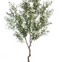 Artificial Tree Faux Olive Tree 8ft(92in,3200leaves) Tall Fake Olive Plant in Pot Fake Silk Tree Faux Plants Indoor