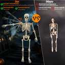 breesky Life Size Skeleton for Halloween: 4.43ft Realistic Human Anatomy Full Body Skeleton Model with 360° Posable Movable Arms - Skeletons for Outdoor Yard Haunted House Atmosphere Decoration