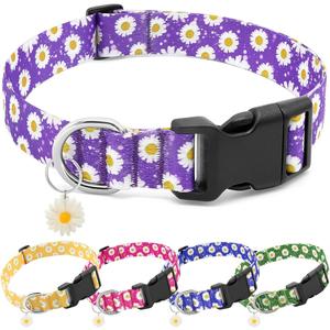 Purple Dog Collars - Cute Flower Collar for Small Dog with Daisies Charms, Pretty Floral Dogs Collar for Female Dogs Puppy Girls Boys Pet (S, Purple)
