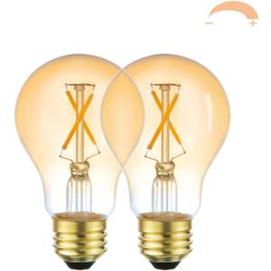 A19 Vintage LED Edison Light Bulbs, 2-Pack Dimmable 2W 2700K Amber Warm Light, E26 Base, 2W Equal 25W Incandescent Bulbs, Decorative Antique A19 Bulb, 250LM