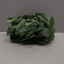 Sggvecsy 2 Pack Artificial Eucalyptus Garland Greenery Leaves Handmade 3D Silk Vines Silver Dollar Leaves Faux Leaf Plants for Wedding Wall Table Party Home Fireplace Bedroom Decor