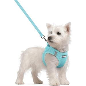 rabbitgoo Dog Harness Small Sized and Leash Set, Step in Soft Light Puppy Vest, Breathable Mesh Pet Harness, Reflective for Safe Easy Walking, Mint Blue Small (Chest: 15.1 - 16.5")