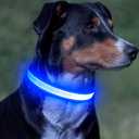 Vizpet LED Dog Collar, Light Up Dog Collar Adjustable USB Rechargeable Super Bright Safety Light Glowing Collars for Dogs ,Blue M