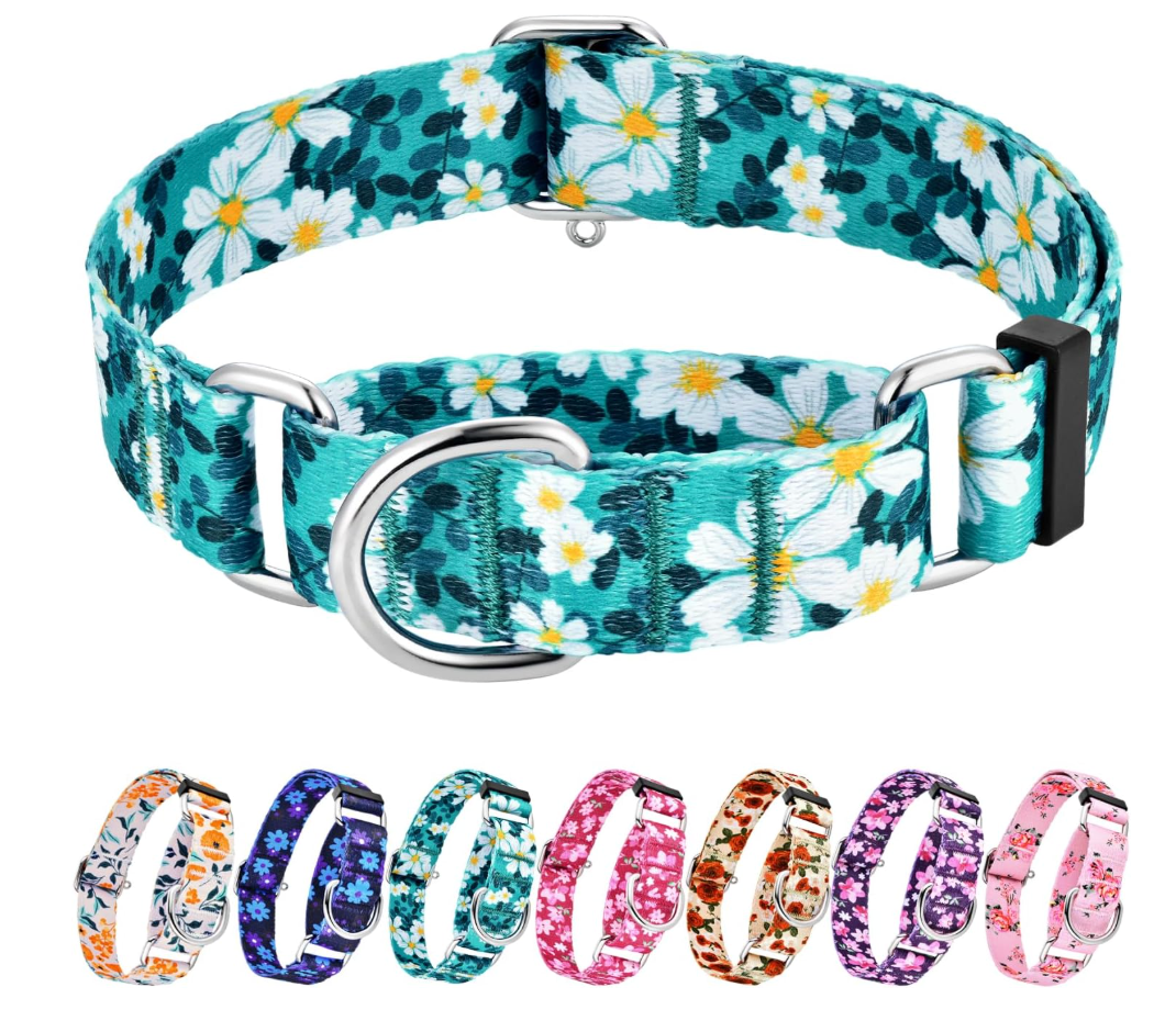 Hikiko Martingale Collar for Female Dogs - Floral Design, No Buckle, Nylon, No Pull, Medium, Green Flower