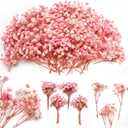 6'' Mini Size Pink & White Dried Babys Breath Flowers 4000+, 70Pcs Natural Gypsophila for DIY Art Crafts, Dry Flowers Bulk for Vase Resin Nails, Valentine's Day Decor, Room Table Wedding Gifts