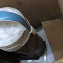 Amazon Basics Upright Bagless Vacuum Cleaner for Carpet and Hard Floors, Washable Filter, Crevice and Upholstery Tools, Detachable Handle, Lightweight, 1.7L Dust Cup, 25ft Cord, Black/White