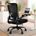 Ergonomic Office Chair - High Back Desk Chair with Adjustable Lumbar Support, Breathable Mesh Back, 330LBS Capacity, Easy Assembly (Matte Black)