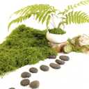 Light Green Moss for Crafts Artificial Moss Decorative for Glass Vase Filler Wedding/Christmas/Fairy Party/Indoor Planters/DIY Rainforest Model/Table Centerpieces (2.1 OZ)