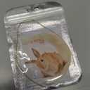 Christmas Tree Decorations, Acrylic Christmas Tree Ornaments, Double-Printed Animal Hanging for Christmas Tree, Home Decor, Children's Gifts (Rabbit)