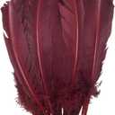 24Pcs Burgundy Turkey Feathers 10~12 inch,Beautiful Long Feather for Crafts,Bulk Big Size Bilateral Natural Feather,for Wedding Dress and Party Decoration,DIY Fabricating Handicraft Article (Burgundy)