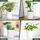 4 Inch 5 Pack Small Self Watering Pots for Indoor Plants, Nursery Pot with Drainage Holes and Saucers, Plastic Small Flower Planter for Succulent, Aloe, Cacti and More (White)