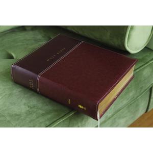 NIV Family Bible, Keepsake Edition by Zondervan (2012) Leather Bound