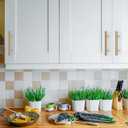 Ravinte 35 Pack 5 Inch Cabinet Pulls Champagne Bronze Stainless Steel Kitchen Drawer Pulls Cabinet Handles 5 InchLength, 3 Inch Hole Center