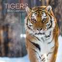Gifted Stationery Co, Tigers 2025 Wall Calendar