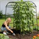 Miory Garden Arch Trellis for Climbing Plants Outdoor, 7ft Tall Plants Support Trellis for Climbing Vine Tomato Vegetable Flower Fruit, Cucumber Trellis for Raised Bed (71 x 83 Inch)