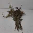 Vickerman 31" Mahogany Red Artificial Wild Berry Spray